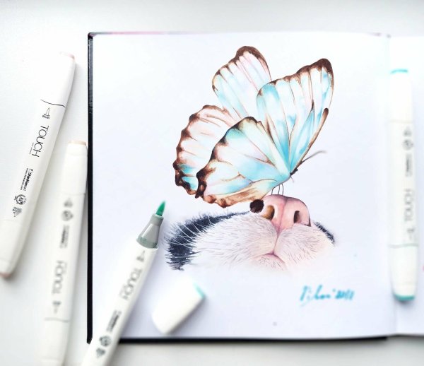 скетчинг бабочка маркерами