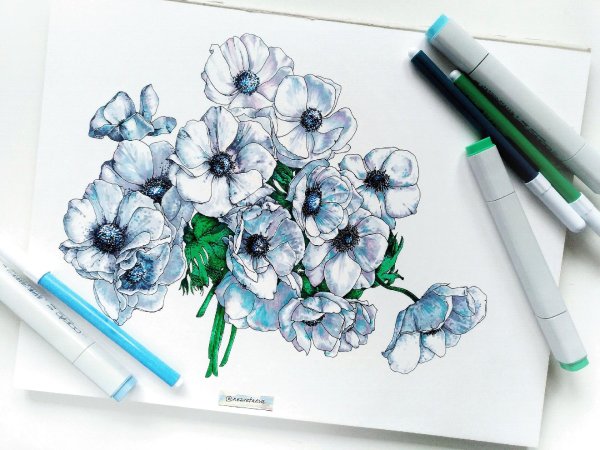 скетчинг цветы