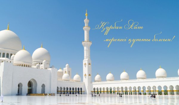 мечеть абу даби