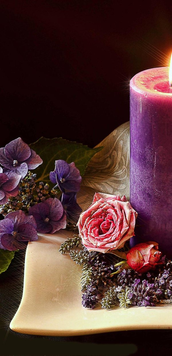 розы и свечи