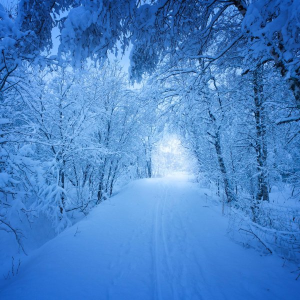 зимняя природа