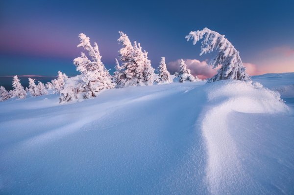 снежный пейзаж