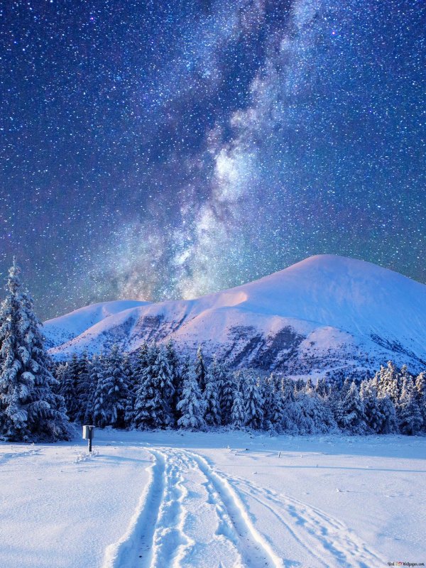 снежные пейзажи