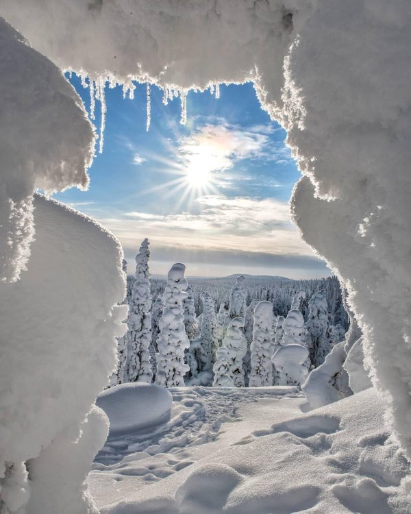 зима красивая