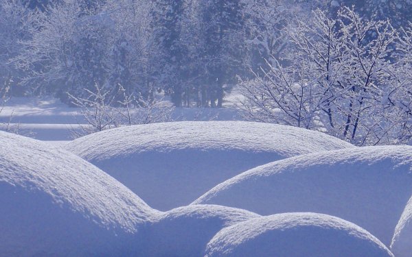 снежные сугробы