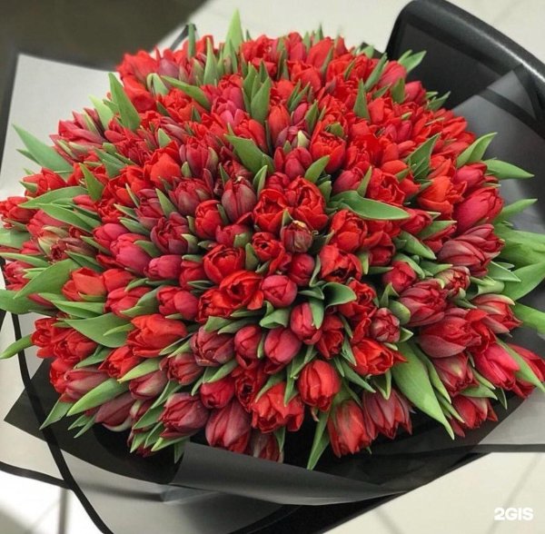 большие букеты тюльпанов