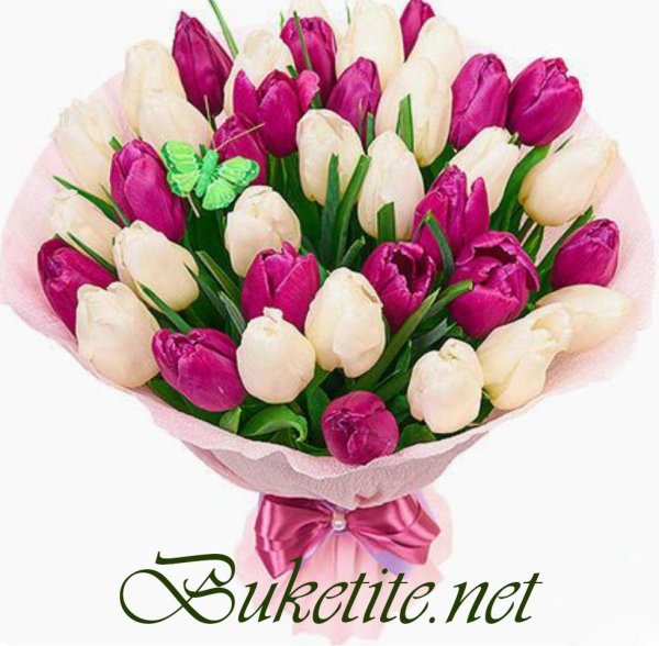 букетище тюльпанов