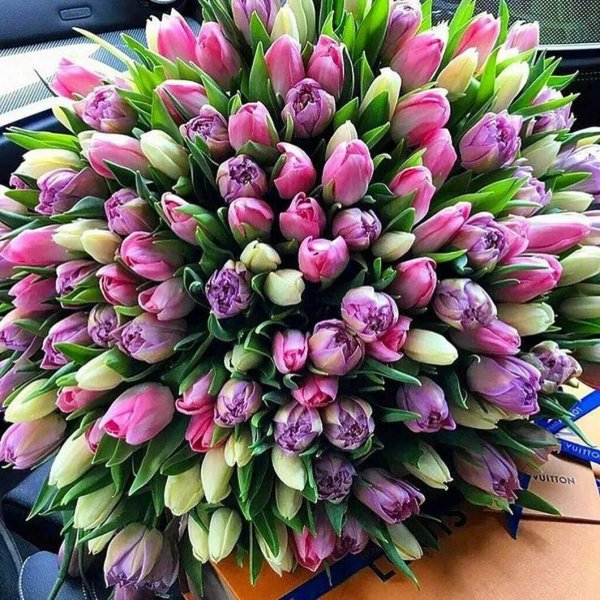 большие букеты тюльпанов