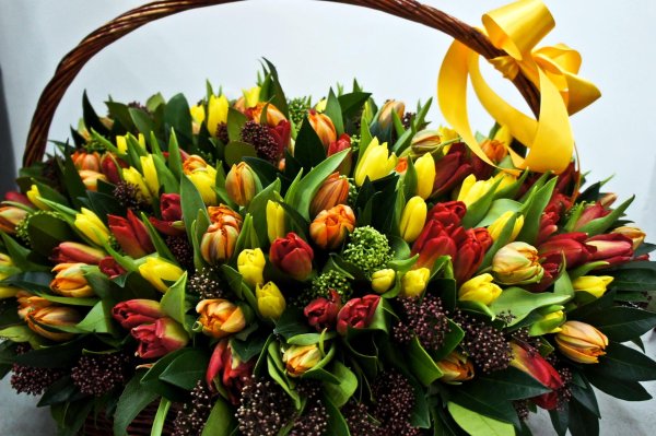 корзинка с тюльпанами