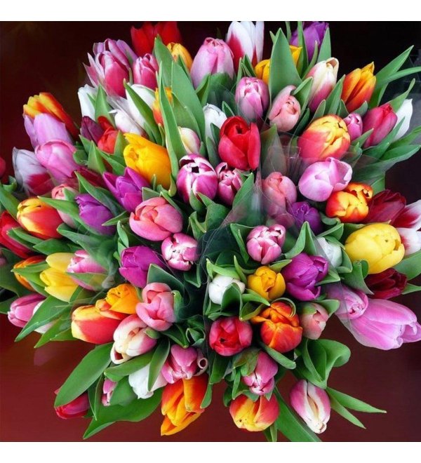 мелкоцветные тюльпаны