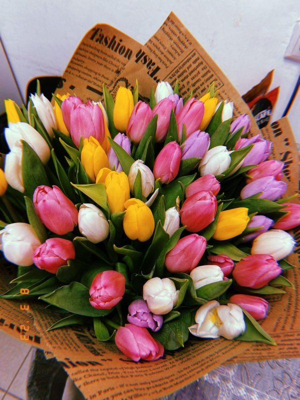 тюльпаны разноцветные