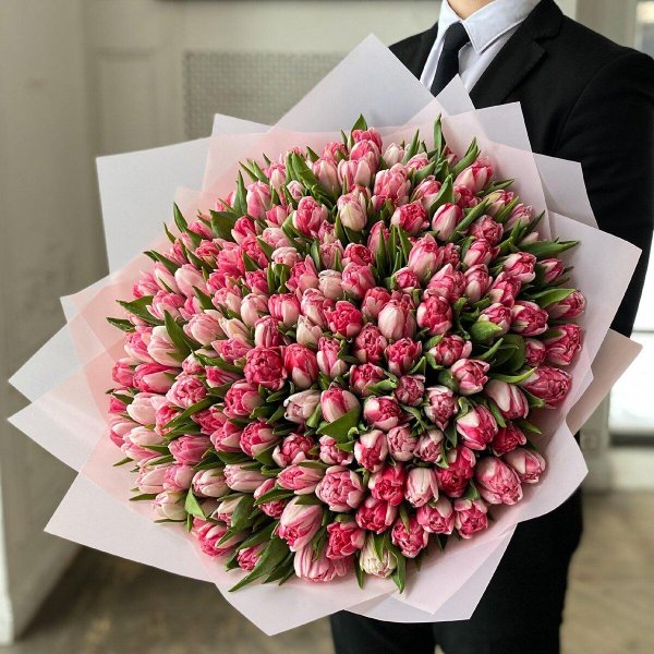 пионовидные тюльпаны