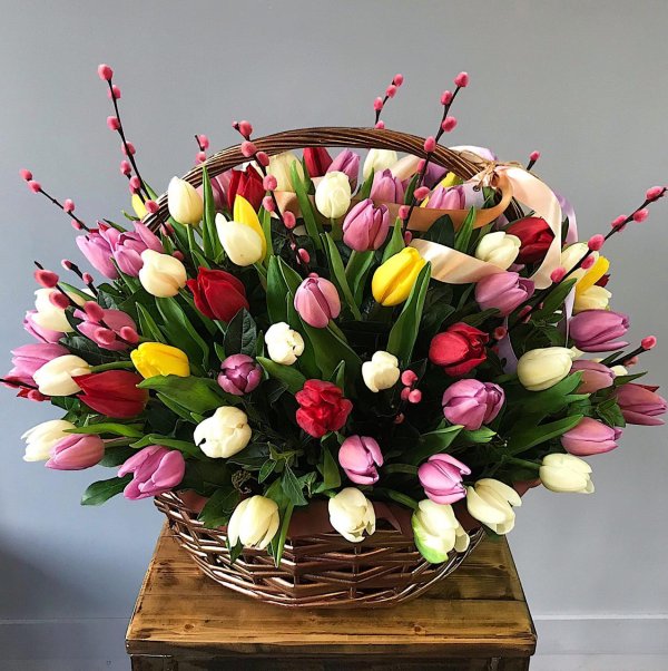 мелкоцветные тюльпаны