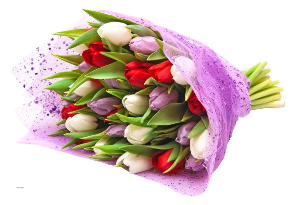 букет тюльпан