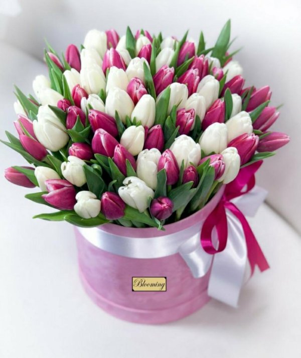 тюльпаны в коробках