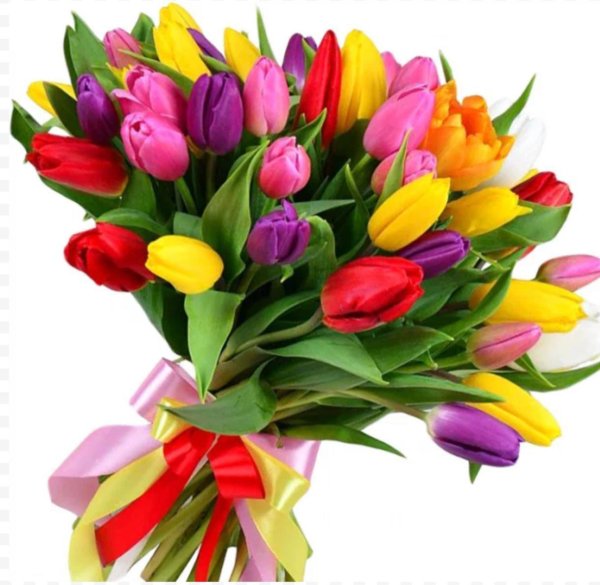 тюльпаны ассорти
