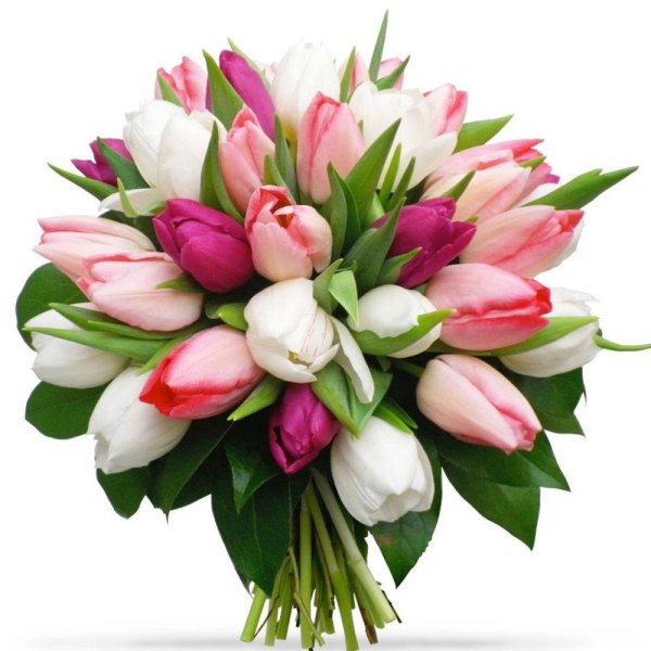 красивые букеты из тюльпанов