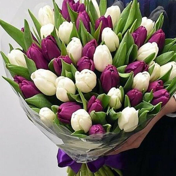 красивые букеты из тюльпанов
