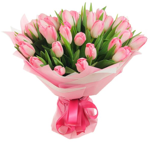 розовые тюльпаны букет