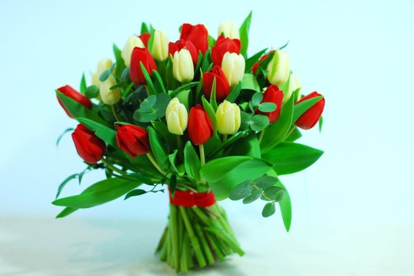 букет тюльпан
