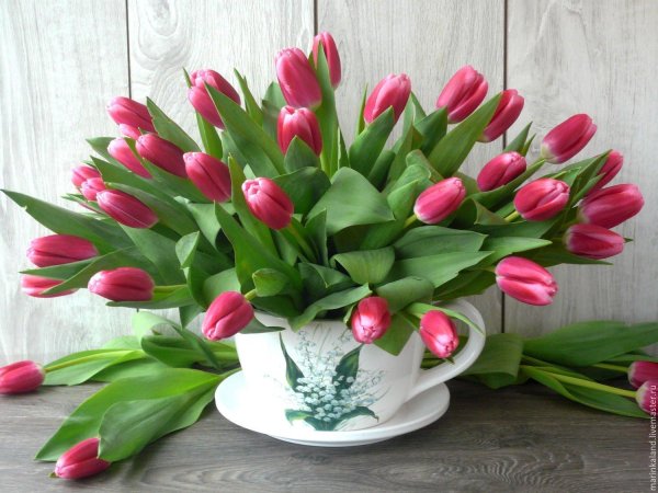 красивые открытки с тюльпанами