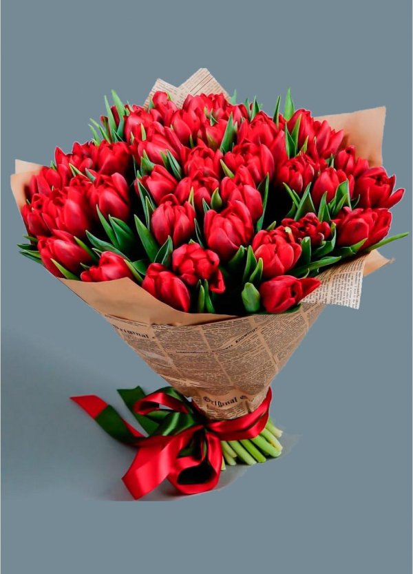 тюльпан красный