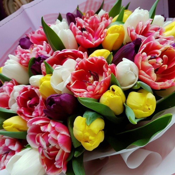 красивые букеты тюльпанов