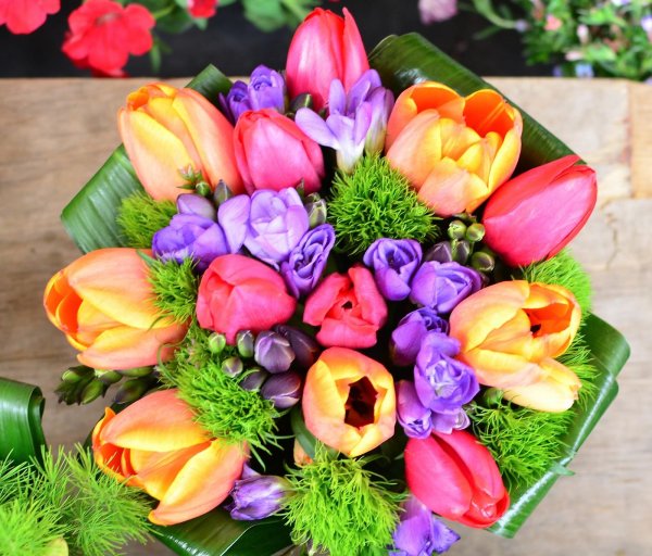 разноцветные тюльпаны