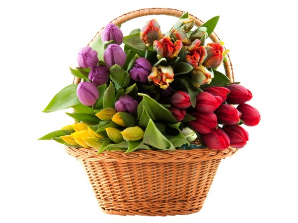 корзинка с тюльпанами