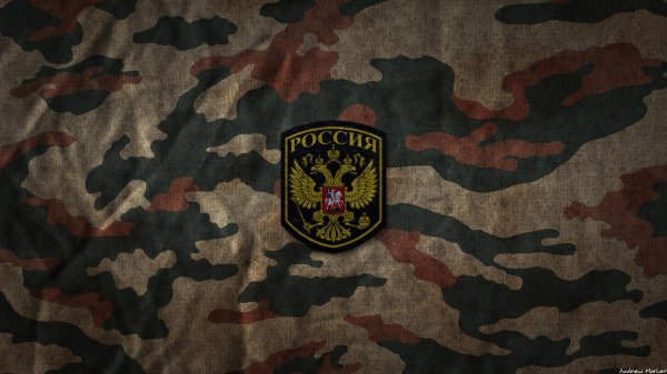 woodland camouflage 4r