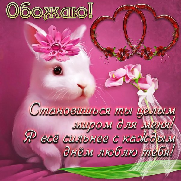 счастливый зайка