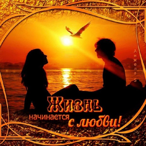 жизнь начинается с любви