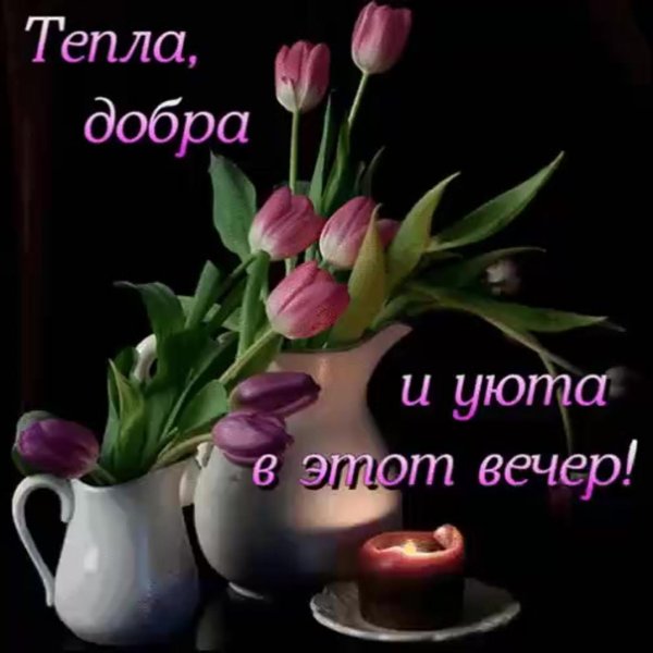 красивыепоздраления с добрым вечером