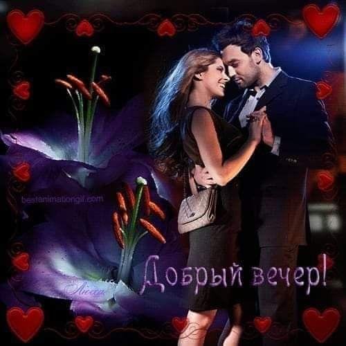 добрый вечер влюбленные пары