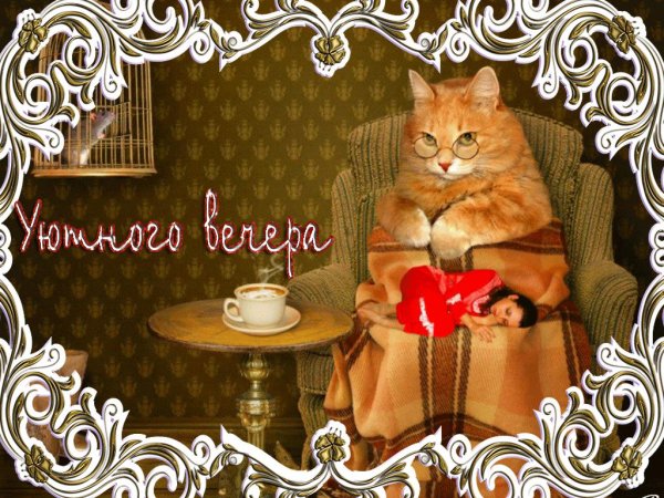 поздравления с добрым вечером прикольные