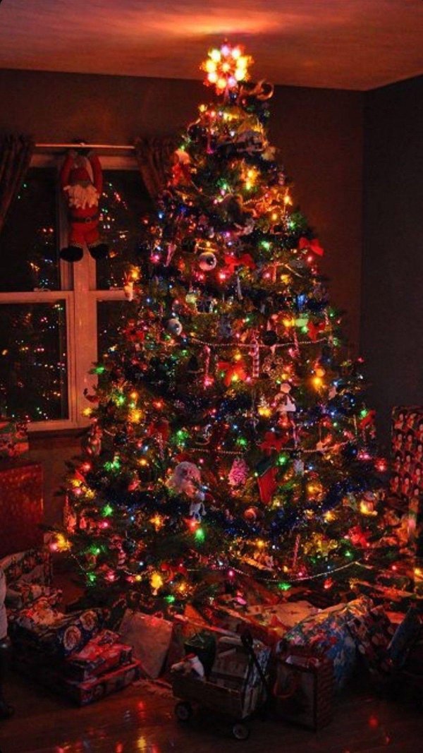 новогодние елочки