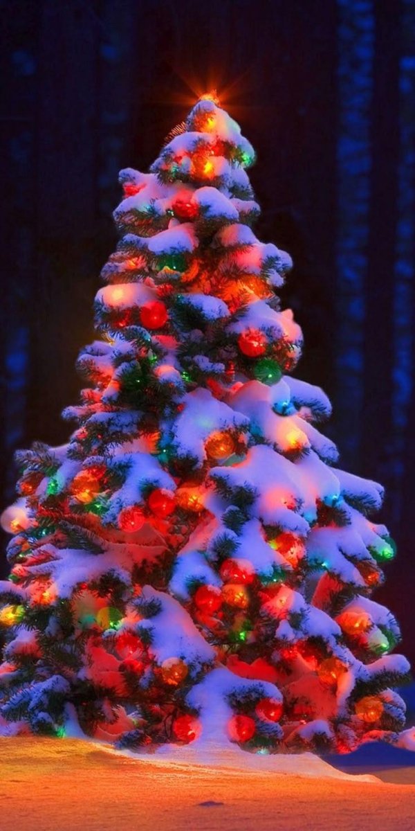 новогодней елки