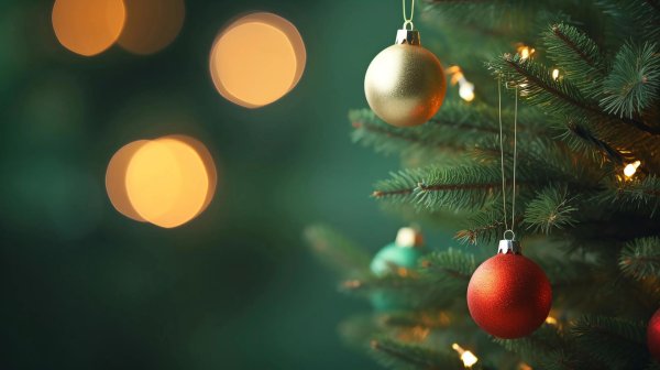 новогодние шары на ветке