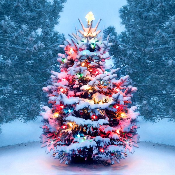 наряжаем елку