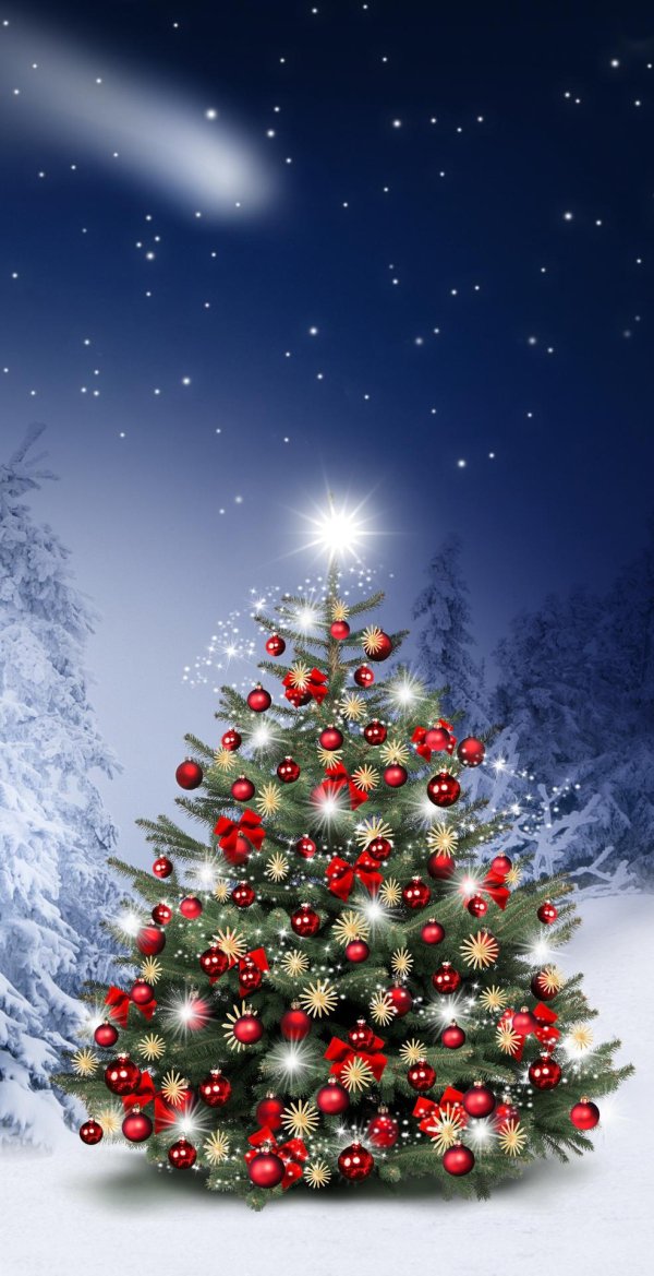 новогодний лес