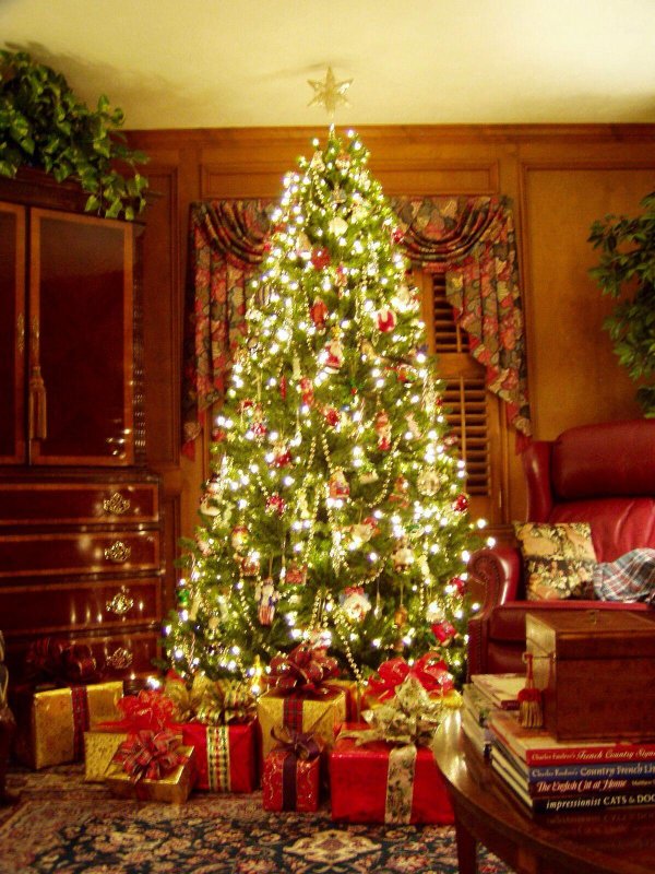 рождественская ёлка