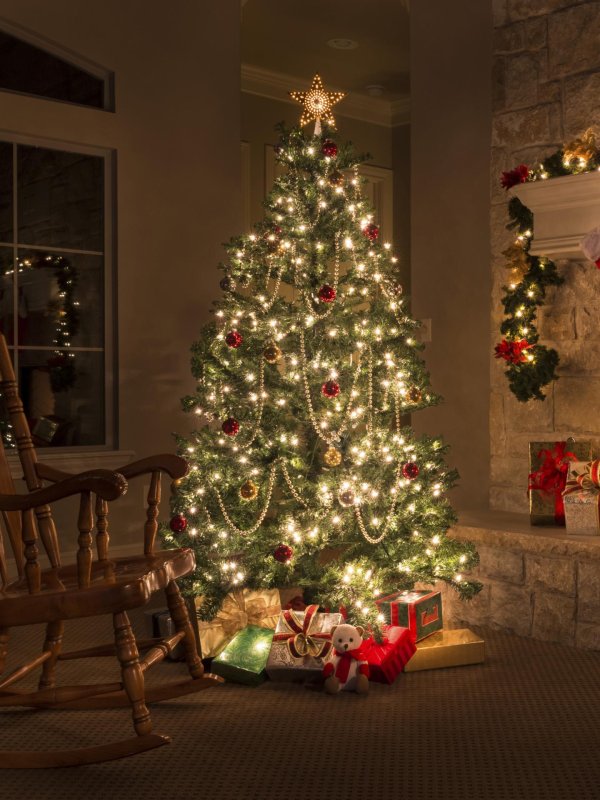 рождественская ель