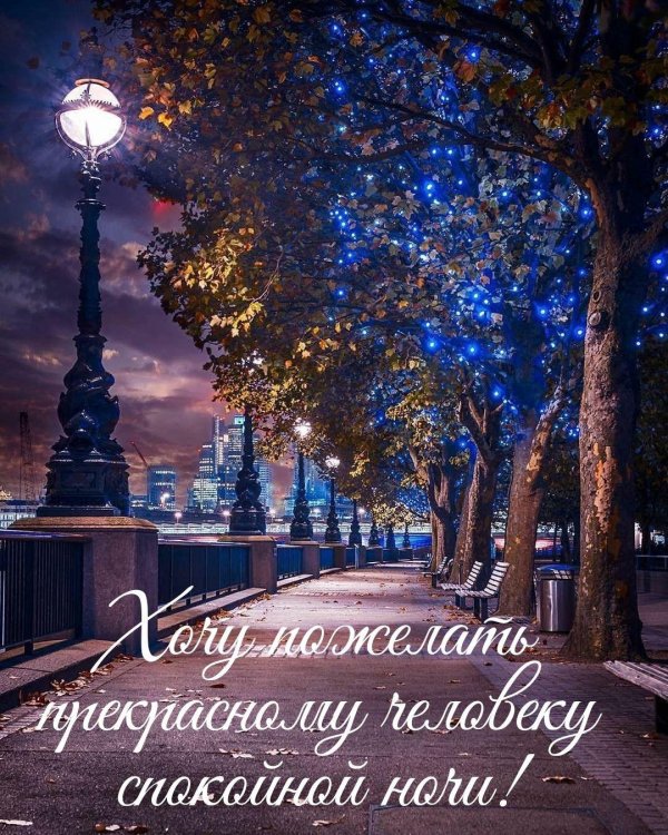 спокойная ночи