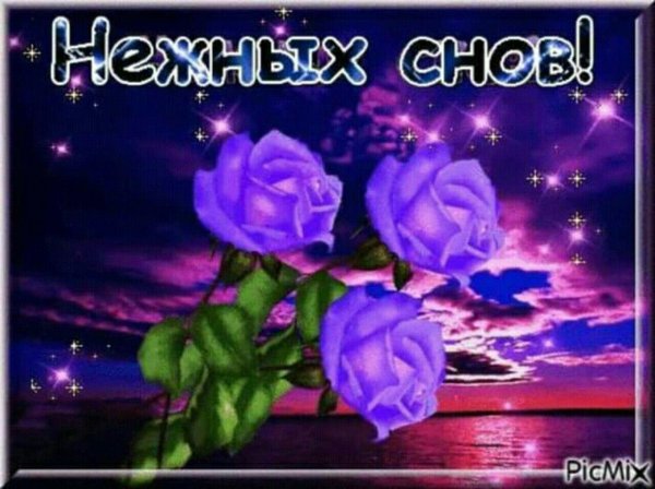 открытки спок ночи красивые