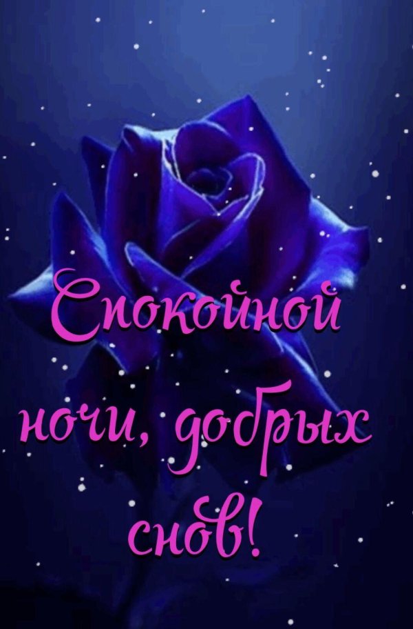 добрая ночь