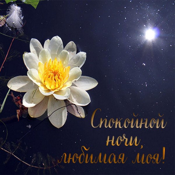 открытки нескучной ночи