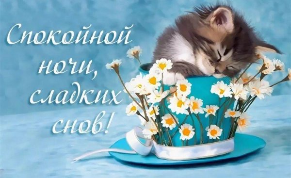 спокойной ночи открытки
