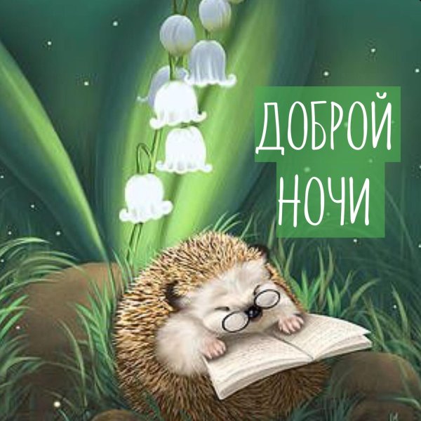 добрая ночь