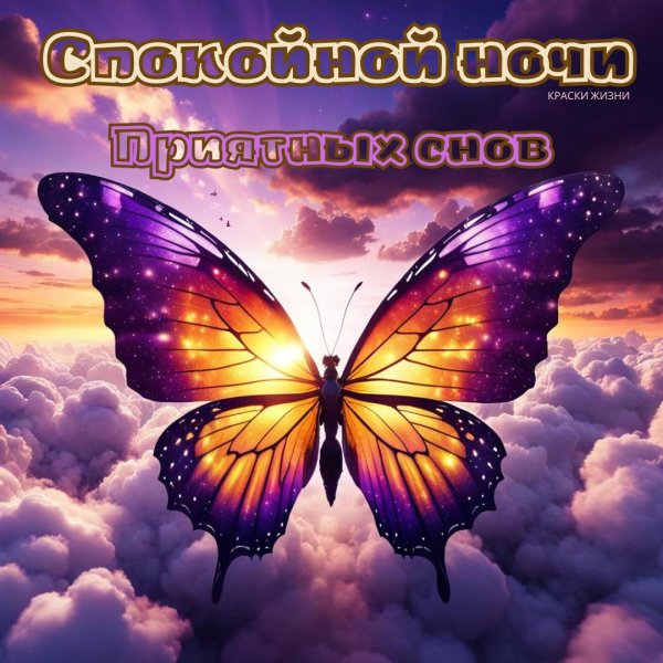 спокойной ночи приятного сна