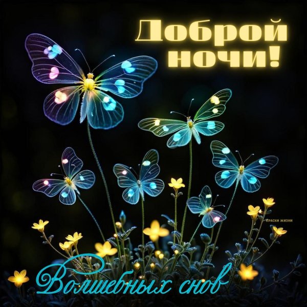 ночь спокойной ночи